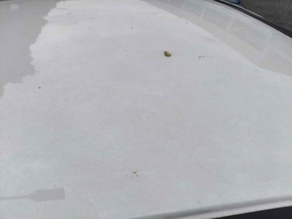 [常州·苏D] 二手本田飞度2021款 1.5L CVT潮享版