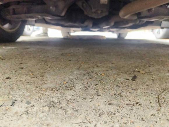 [佛山·粤Y] 二手宝马宝马3系2017款 318i 时尚型