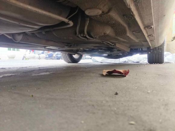 [深圳·粤P] 二手大众宝来2014款 1.6L 手动舒适型