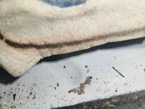 [宁波·浙B] 二手福特福克斯2018款 两厢经典 1.6L 自动风尚型智行版