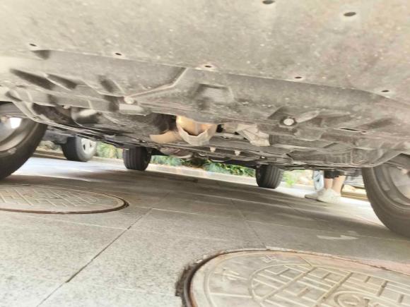 [上海·沪E] 二手雷克萨斯雷克萨斯RX2020款 改款 300 四驱典雅版