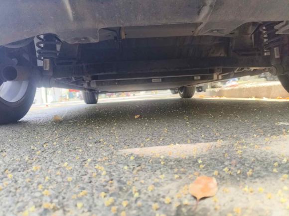 [上海·苏F] 二手比亚迪海鸥2024款 荣耀版 305km 自由版