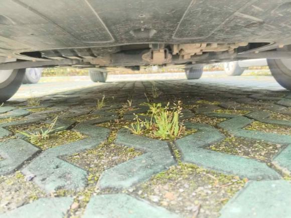 [上海·苏J] 二手起亚凯绅2017款 1.8L 自动GLS