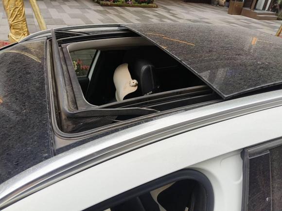 [成都·川A] 二手奔驰奔驰GLA2016款 GLA 200 动感型