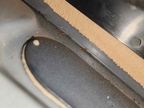 [武汉·鄂A] 二手林肯冒险家2020款 2.0T 两驱尊雅版