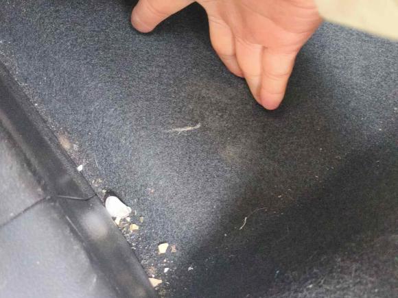 [杭州·浙A] 二手思铭东风本田X-NV2020款 风驰版