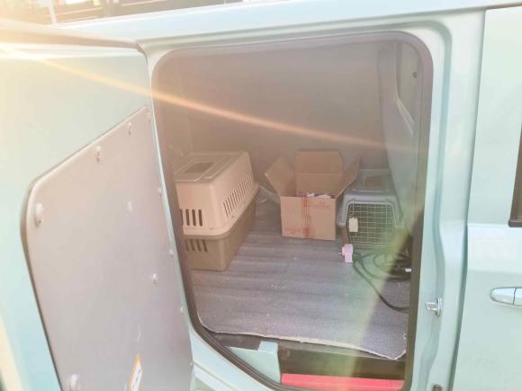 [南京·苏A] 二手橙仕橙仕012022款 财富版+3.3KW空调单排封闭式货车双人座双电池