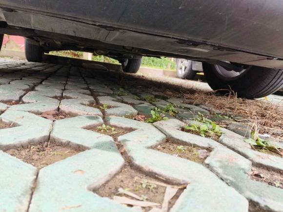 [上海·沪C] 二手日产奇骏2014款 2.0L CVT舒适版 2WD