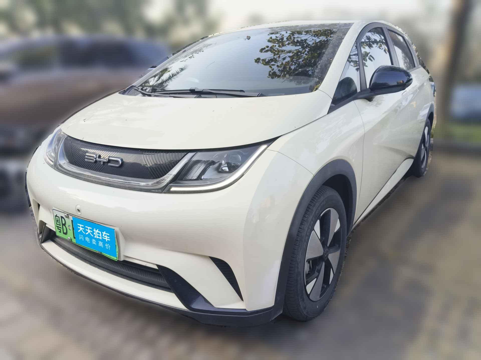 [广州·粤B] 比亚迪海豚2023款 420km 自由版