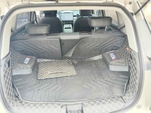 [温州·浙C] 二手埃安AION Y2023款 Younger 星耀版