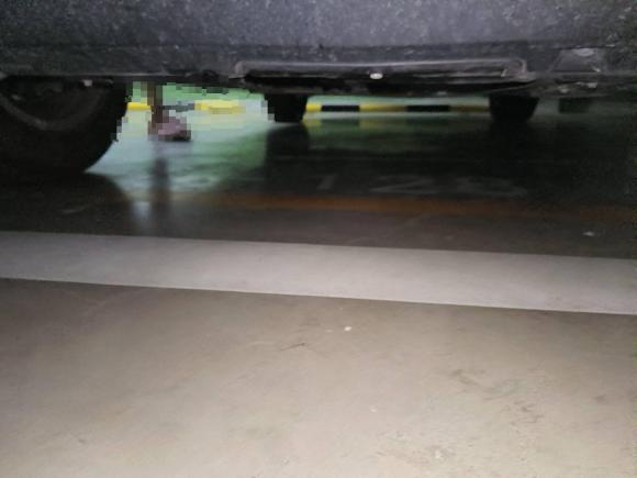 [济南·鲁S] 二手哈弗哈弗M62019款 1.5T 手动两驱都市型 国VI