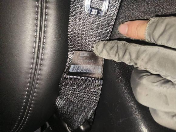 [广州·粤A] 二手特斯拉Model 32019款 标准续航后驱升级版