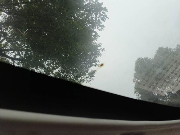 [嘉兴·浙F] 二手smartsmart forfour2016款 1.0L 52千瓦激情版