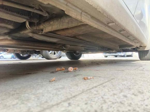 [青岛·鲁B] 二手雪佛兰赛欧2018款 赛欧3 1.3L 手动舒适天窗版