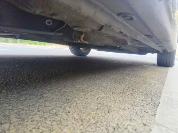 [苏州·苏E] 二手大众朗逸2011款 1.6L 自动品雅版