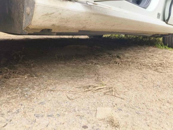 [青岛·鲁B] 二手大众高尔夫2014款 1.6L 自动舒适型