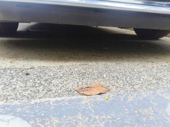 [苏州·苏E] 二手丰田雷凌2018款 185T CVT豪华版