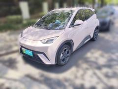 [上海·苏F]比亚迪&nbsp;&nbsp;海鸥&nbsp;&nbsp;2024款 荣耀版 305km 自由版