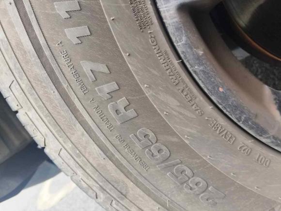 [成都·川A] 二手坦克坦克3002021款 越野版 2.0T 征服者