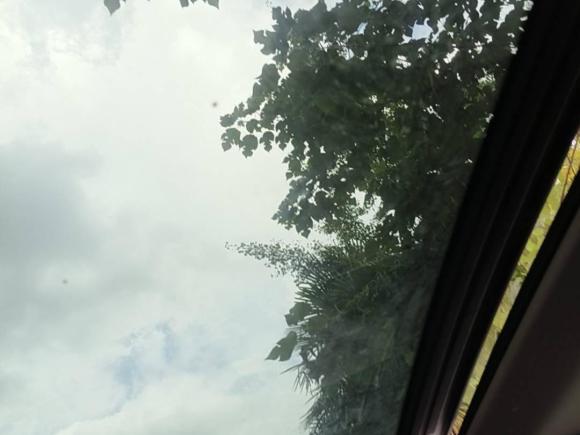 [湖州·浙A] 二手宝马宝马X12019款 sDrive18Li 尊享型