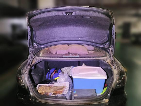 [嘉兴·浙F] 二手马自达马自达62011款 2.0L 自动时尚型