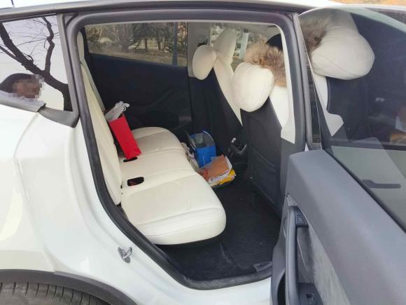 [济南·鲁A] 二手特斯拉Model Y2021款 Performance高性能全轮驱动版