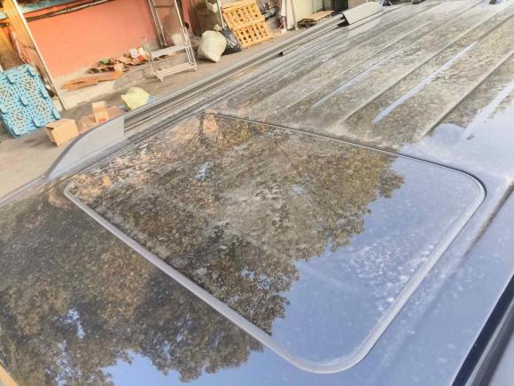 [上海·鲁D] 二手坦克坦克3002024款 2.0T 征服者