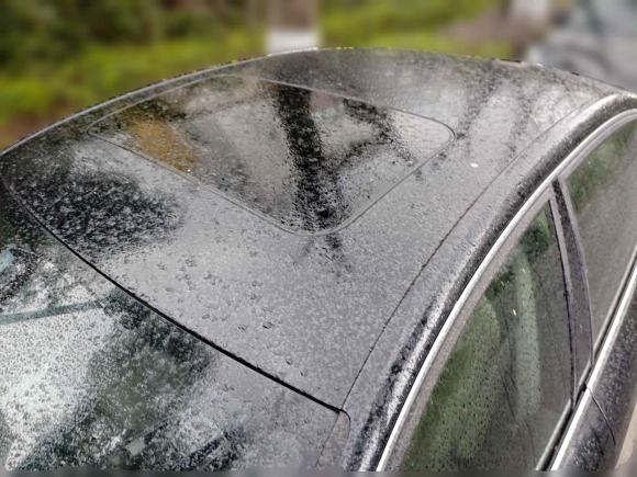 [上海·浙A] 二手奥迪奥迪A6L2010款 2.0 TFSI 自动标准型