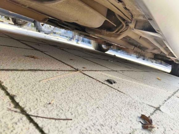 [合肥·渝A] 二手丰田锐志2007款 2.5V 超级运动版