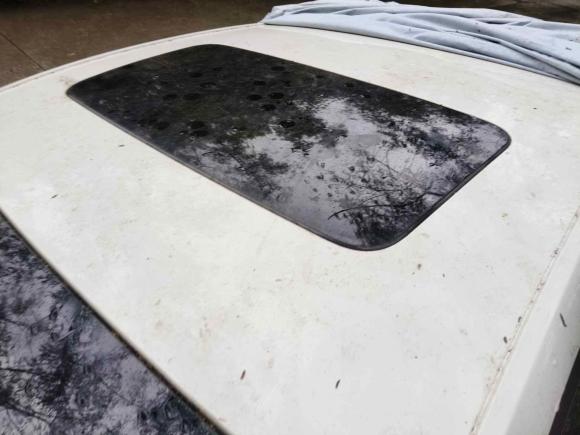 [深圳·粤B] 二手雪佛兰科沃兹2019款 320 自动欣享版