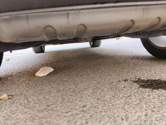 [上海·沪D] 二手奥迪奥迪Q32021款 40 TFSI 时尚动感型