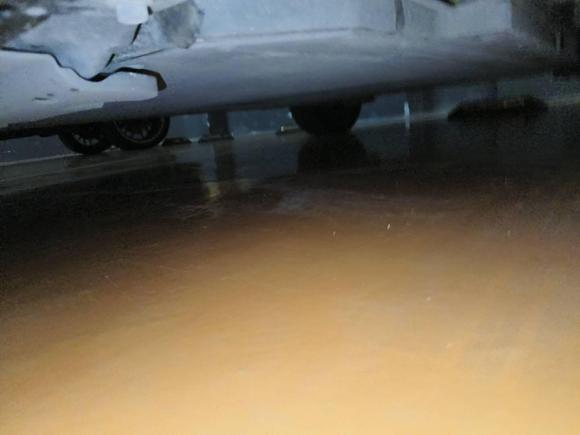 [温州·浙C] 二手比亚迪海豚2021款 405km 时尚版