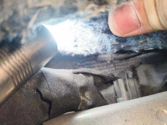 [南昌·赣A] 二手别克昂科威Plus2016款 20T 两驱领先型