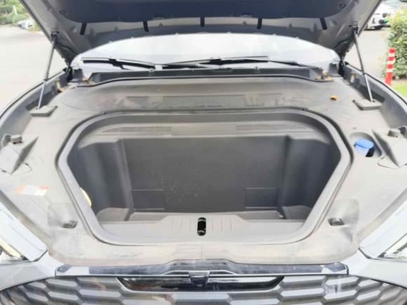 [上海·沪A] 二手福特福特电马2021款 无疆后驱豪华版(长续航)