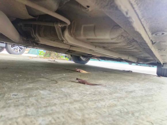 [佛山·粤T] 二手起亚起亚K32013款 1.6L 自动GLS