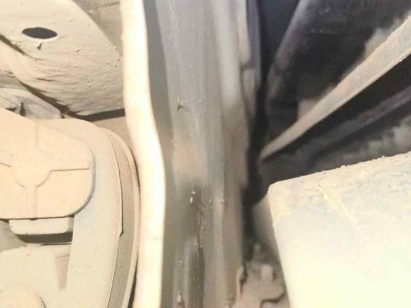 [成都·川A] 二手大众迈腾2019款 330TSI DSG 领先型 国VI