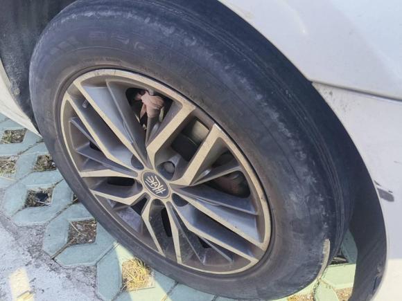 [温州·浙C] 二手比亚迪秦Pro新能源2019款 EV 超能版 标准版智联领尚型