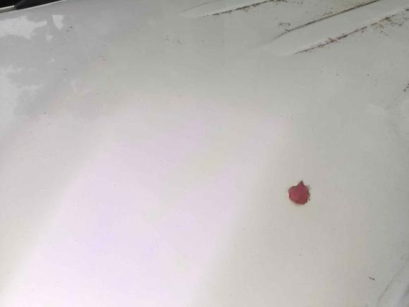 [南昌·赣A] 二手丰田普拉多2010款 2.7L 手动版