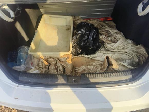 [青岛·鲁B] 二手大众捷达2019款 梦想版 1.5L 手动时尚型