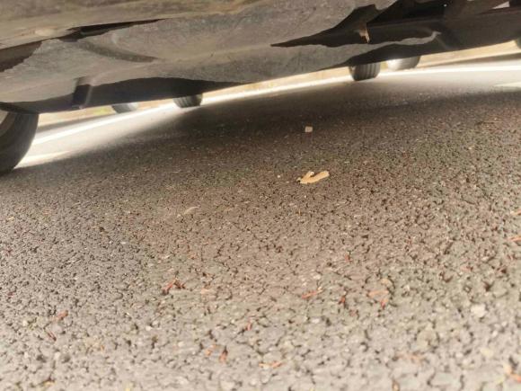 [上海·沪C] 二手大众速腾2019款 200TSI DSG舒适型 国VI