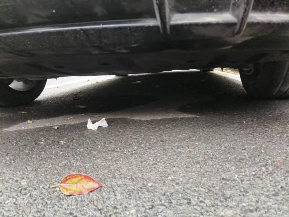 [杭州·浙A] 二手比亚迪海豹2022款 700km 长续航后驱版