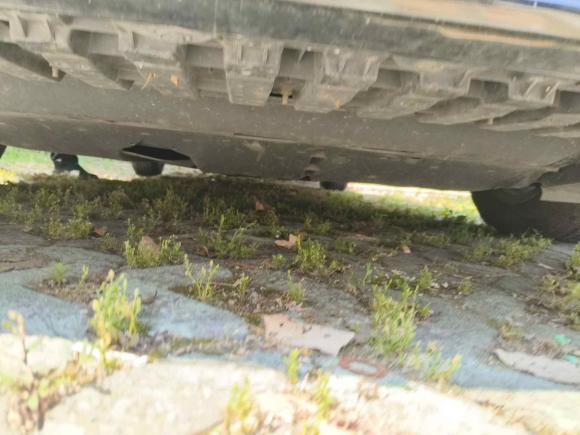 [嘉兴·浙F] 二手日产天籁2020款 改款 2.0L XL 舒适版