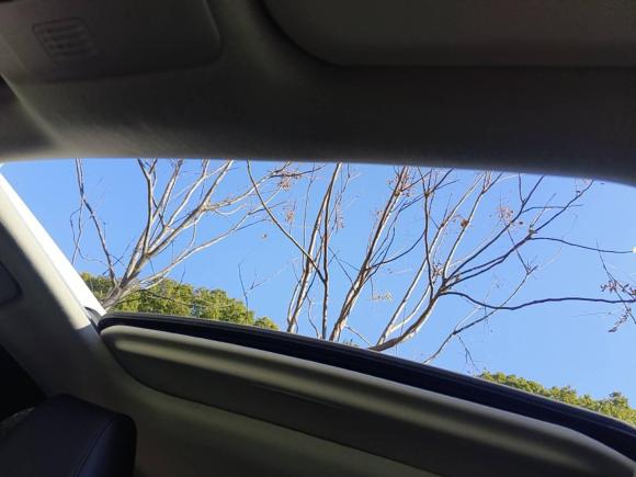 [嘉兴·沪B] 二手丰田卡罗拉2019款 1.2T S-CVT GL-i精英版