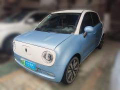 [合肥·皖A] 欧拉欧拉黑猫2019款 351km 亲子版