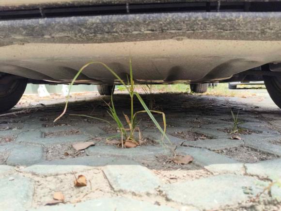 [上海·苏E] 二手宝马宝马1系2018款 118i 领先型