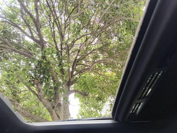 [上海·沪A] 二手奔驰奔驰EQC2021款 EQC 400 4MATIC