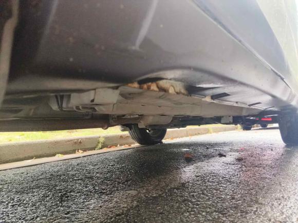 [上海·苏N] 二手广汽传祺传祺GS42016款 235T G-DCT精英版