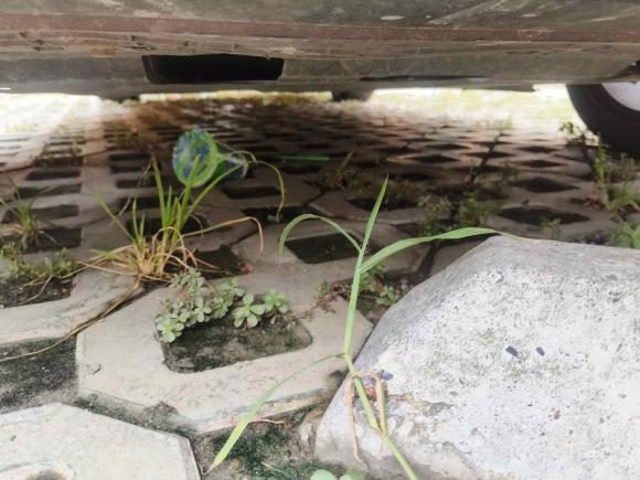 [成都·川F] 二手大众凌渡2019款 280TSI DSG舒适版 国VI