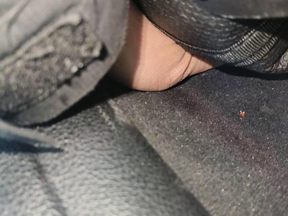 [常州·苏D] 二手宝马宝马3系2018款 320i M运动套装