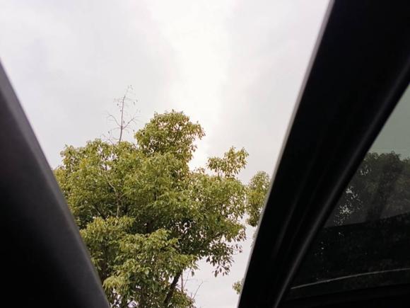 [上海·沪B] 二手奔驰奔驰GLC2016款 GLC 260 4MATIC 豪华型